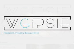 Sklep internetowy WGipsie.com